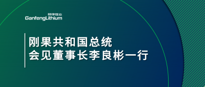 刚果共和国总统会见尊龙凯时人生就博官网登录董事长李良彬一行